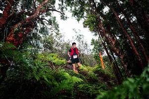 BIB: 
                            <button type="button" onclick="openModal(26202767)" class="btn btn-primary btn-sm float-right btn-popup" data-toggle="modal" data-target=".modal-high-quality">
                        <i class="fas fa-shopping-cart"></i> Add to Cart
                    </button>
                                            <button type="button" onclick="isThisMe(26202767, true)" class="btn btn-success btn-sm float-right btn-popup btn-isme hidden" data-toggle="tooltip" data-placement="bottom" title="นี่คือรูปของคุณใช่ไหม คลิกที่นี่เพื่อเอาเข้าอัลบั้ม">
                        <i class="fas fa-plus"></i> Add to album
                    </button>
                    <button type="button" onclick="isThisMe(26202767, false)" class="btn btn-warning btn-sm float-right btn-popup btn-isnotme hidden">
                        <i class="fas fa-ban"></i> Remove from album
                    </button>